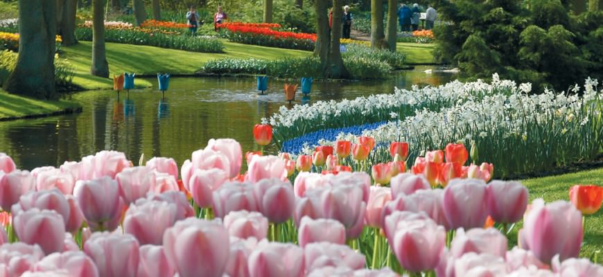 Keukenhof flower festival on the ferry to Holland