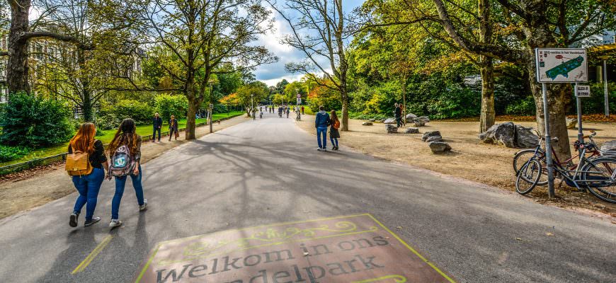 Take a wander around Vondelpark in Amsterdam city